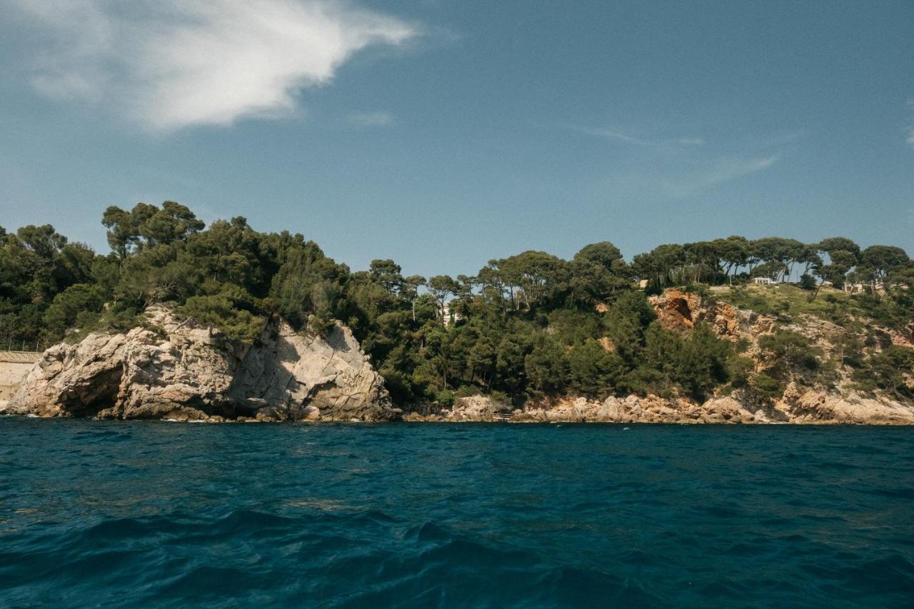 Exclusive Waterfront Villa - Cote Dazur Le Pradet Exterior foto
